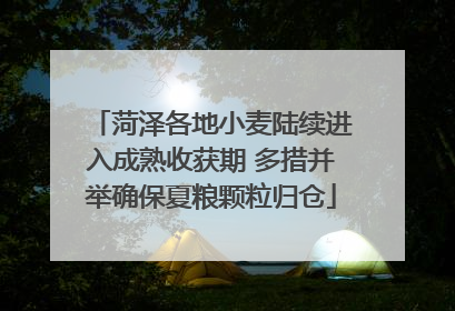 菏泽各地小麦陆续进入成熟收获期 多措并举确保夏粮颗粒归仓