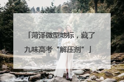 菏泽微型地标，藏了九味高考“解压剂”