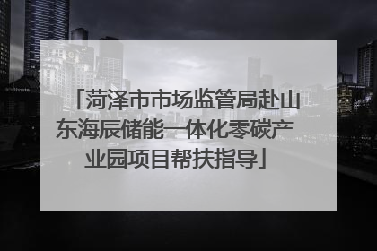 菏泽市市场监管局赴山东海辰储能一体化零碳产业园项目帮扶指导