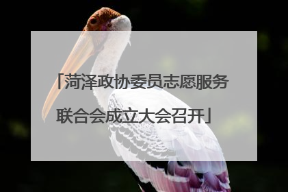 菏泽政协委员志愿服务联合会成立大会召开