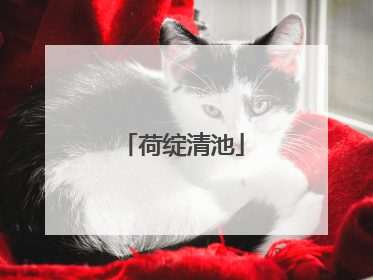 荷绽清池