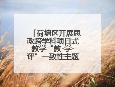 荷塘区开展思政跨学科项目式教学“教-学-评”一致性主题课例研讨活动