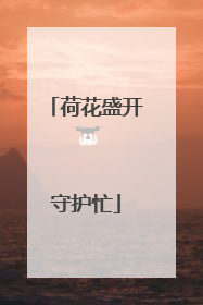 荷花盛开守护忙
