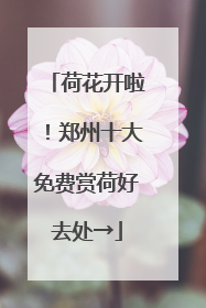 荷花开啦！郑州十大免费赏荷好去处→