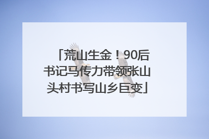 荒山生金！90后书记马传力带领张山头村书写山乡巨变
