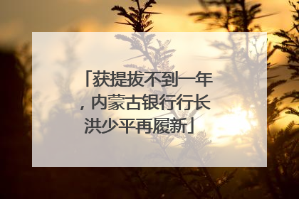 获提拔不到一年，内蒙古银行行长洪少平再履新