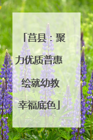 莒县：聚力优质普惠 绘就幼教幸福底色
