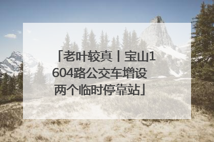 老叶较真丨宝山1604路公交车增设两个临时停靠站