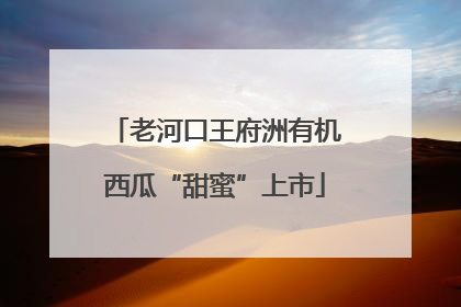 老河口王府洲有机西瓜“甜蜜”上市