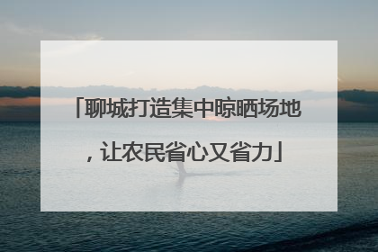 聊城打造集中晾晒场地，让农民省心又省力