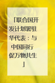 联合国开发计划署驻华代表：与中国同行 促万物共生
