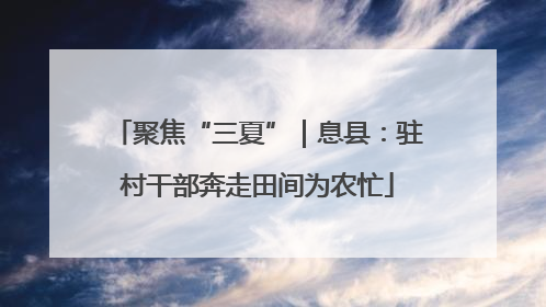 聚焦“三夏”｜息县：驻村干部奔走田间为农忙