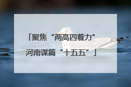 聚焦“两高四着力” 河南谋篇“十五五”