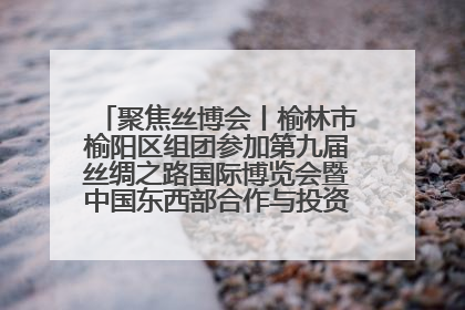 聚焦丝博会丨榆林市榆阳区组团参加第九届丝绸之路国际博览会暨中国东西部合作与投资贸易洽谈会