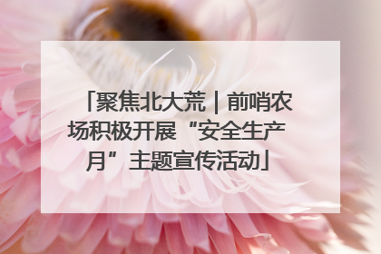 聚焦北大荒｜前哨农场积极开展“安全生产月”主题宣传活动