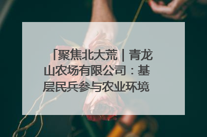 聚焦北大荒｜青龙山农场有限公司：基层民兵参与农业环境综合治理显效