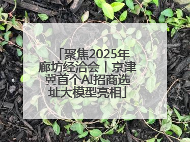 聚焦2025年廊坊经洽会丨京津冀首个AI招商选址大模型亮相