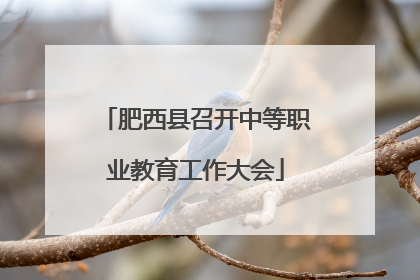 肥西县召开中等职业教育工作大会