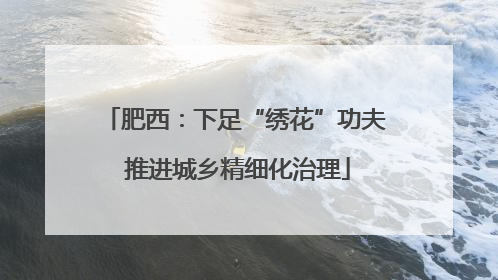 肥西：下足“绣花”功夫 推进城乡精细化治理
