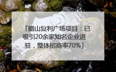 腊山复利广场项目：已吸引20余家知名企业进驻，整体招商率70%