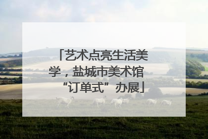 艺术点亮生活美学，盐城市美术馆“订单式”办展