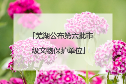 芜湖公布第六批市级文物保护单位