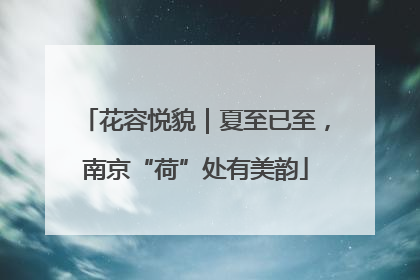 花容悦貌｜夏至已至，南京“荷”处有美韵