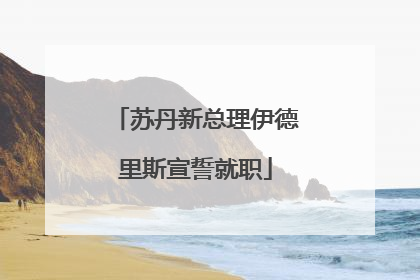 苏丹新总理伊德里斯宣誓就职