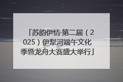 苏韵伊情·第二届（2025）伊犁河端午文化季暨龙舟大赛盛大举行