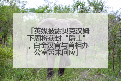 英媒披露贝克汉姆下周将获封“爵士”，白金汉宫与首相办公室暂未回应