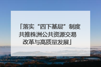落实“四下基层”制度 共推株洲公共资源交易改革与高质量发展