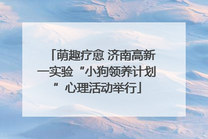 萌趣疗愈 济南高新一实验“小狗领养计划”心理活动举行