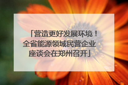 营造更好发展环境！全省能源领域民营企业座谈会在郑州召开