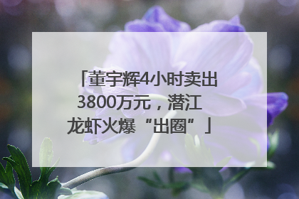 董宇辉4小时卖出3800万元，潜江龙虾火爆“出圈”