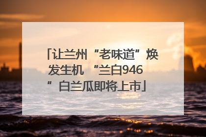 让兰州“老味道”焕发生机 “兰白946”白兰瓜即将上市