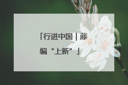 行进中国｜藤编“上新”