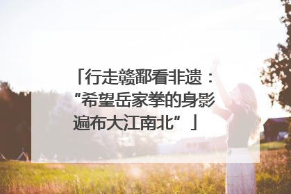 行走赣鄱看非遗：“希望岳家拳的身影遍布大江南北”