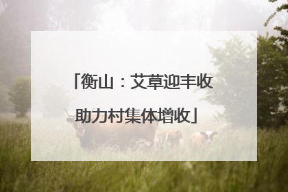 衡山：艾草迎丰收 助力村集体增收