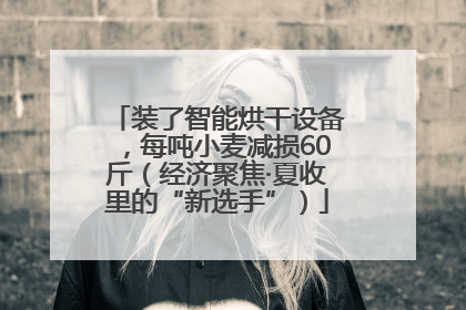 装了智能烘干设备，每吨小麦减损60斤（经济聚焦·夏收里的“新选手”）