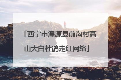西宁市湟源县前沟村高山大白杜鹃走红网络