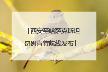 西安至哈萨克斯坦奇姆肯特航线发布