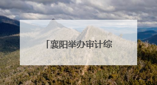 襄阳举办审计综合工作培训班