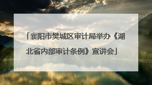 襄阳市樊城区审计局举办《湖北省内部审计条例》宣讲会