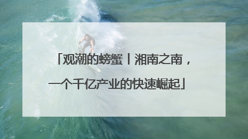 观潮的螃蟹丨湘南之南，一个千亿产业的快速崛起