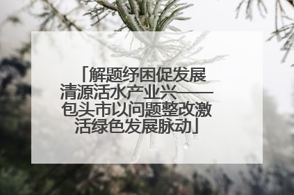 解题纾困促发展 清源活水产业兴——包头市以问题整改激活绿色发展脉动