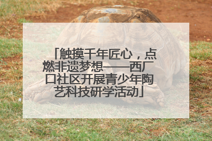 触摸千年匠心，点燃非遗梦想——西厂口社区开展青少年陶艺科技研学活动