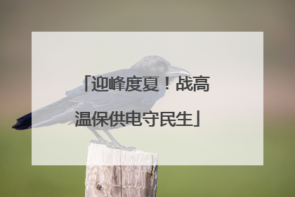 迎峰度夏！战高温保供电守民生