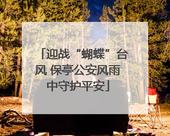 迎战“蝴蝶”台风 保亭公安风雨中守护平安
