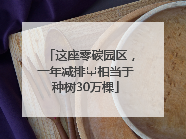 这座零碳园区，一年减排量相当于种树30万棵