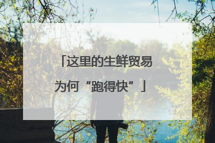 这里的生鲜贸易为何“跑得快”